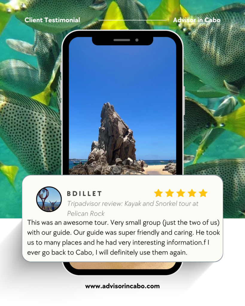 Home reviews (2)