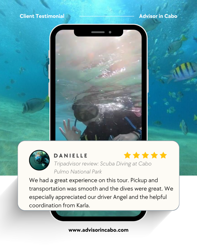 Home reviews (3)