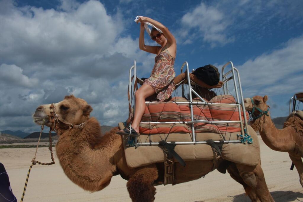 Camel Ride whatsapp image 2026 05 18 at 16.40.51 (1)