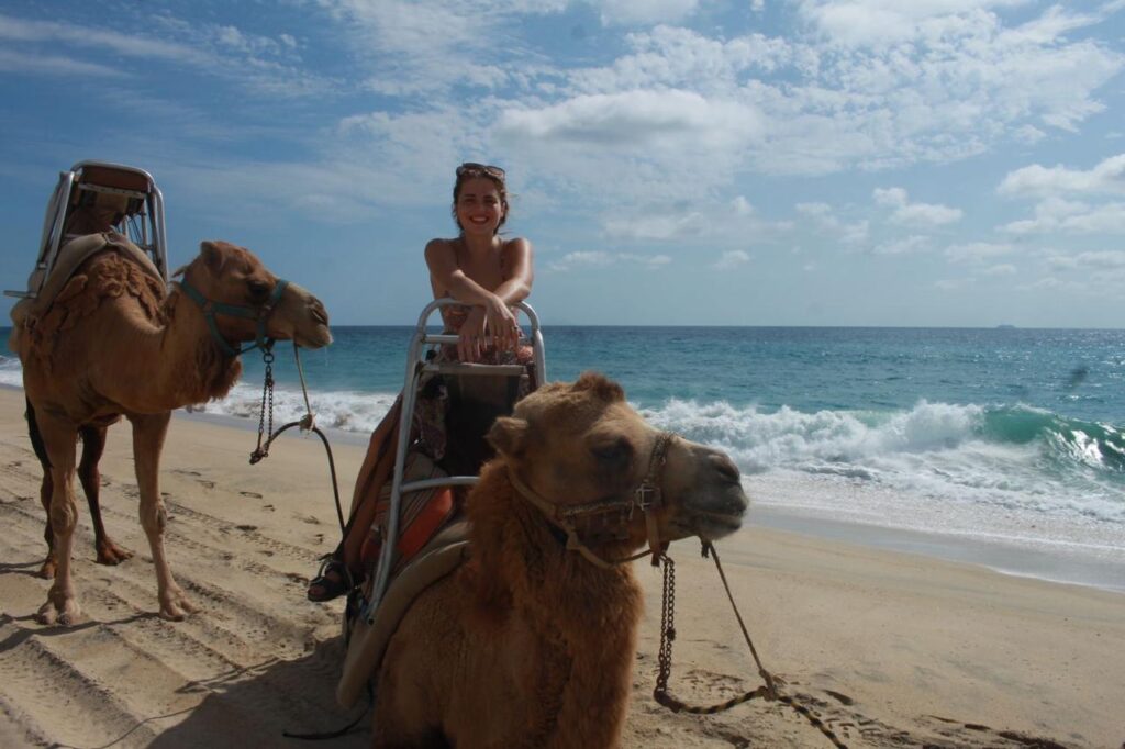 Camel Ride whatsapp image 2026 05 18 at 16.40.51