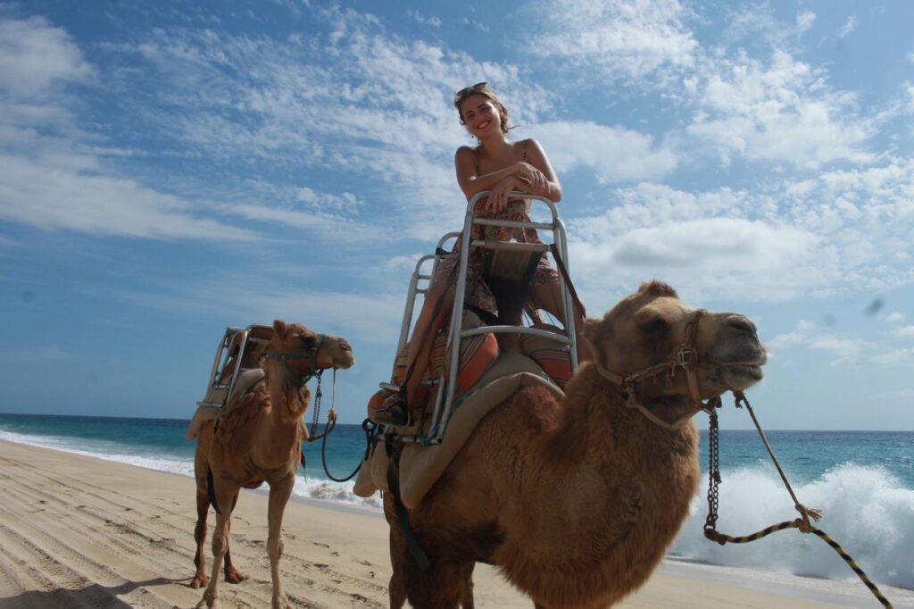 Camel Ride whatsapp image 2026 05 18 at 16.40.51 (2)