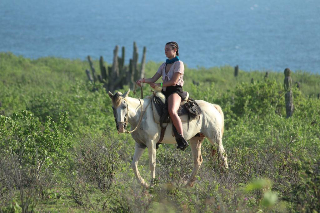 Horseback Riding whatsapp image 2026 05 18 at 16.53.31 (5)
