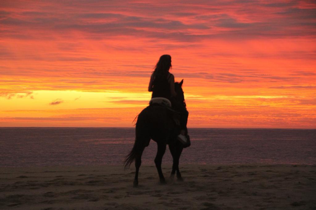 Horseback Riding whatsapp image 2026 05 18 at 16.53.32 (1)